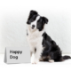 Happy Dog